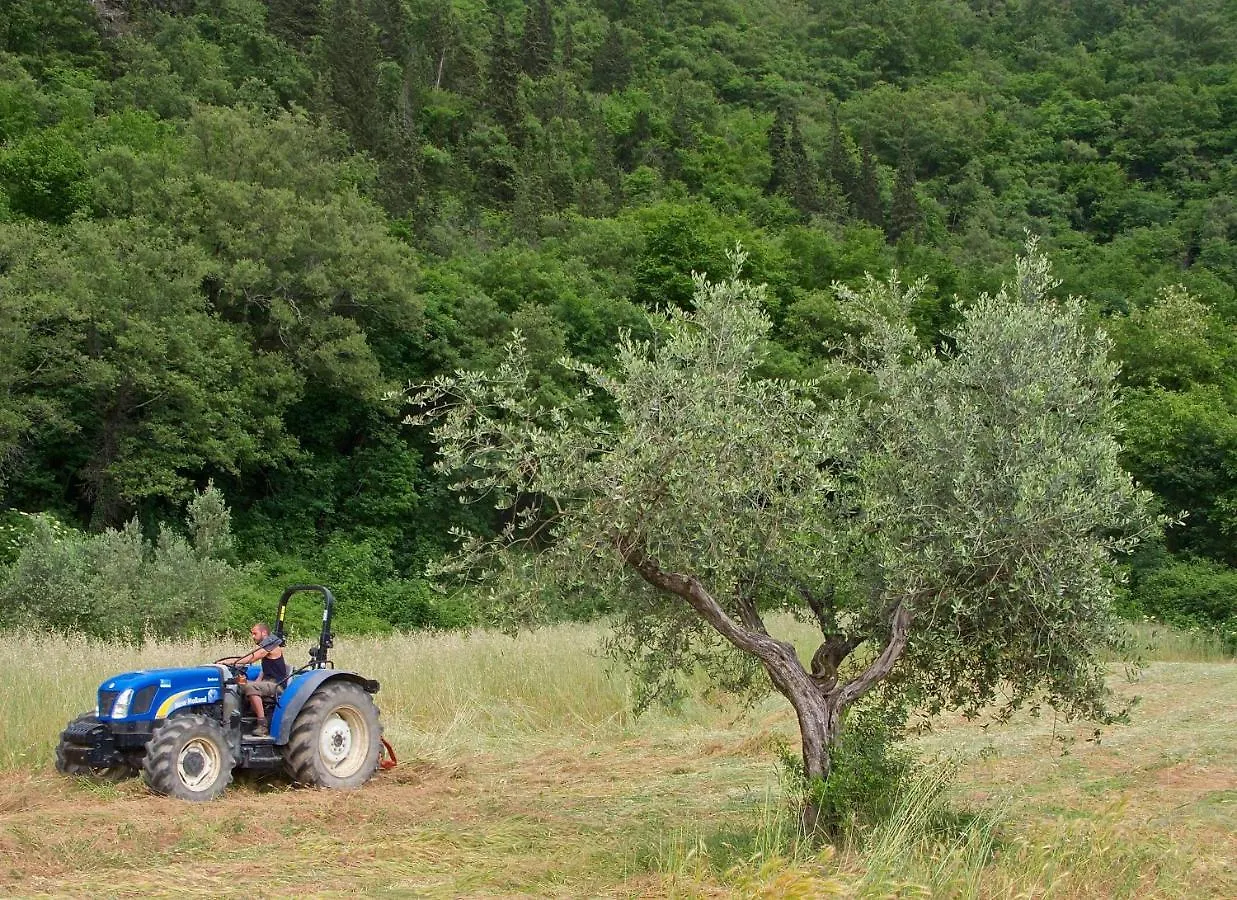 Agriturismo Il Ponticello Vaiano  Italy