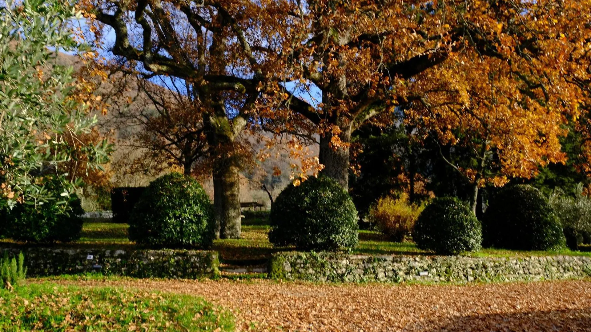 Agriturismo Il Ponticello Vaiano  Vaiano (Tuscany)